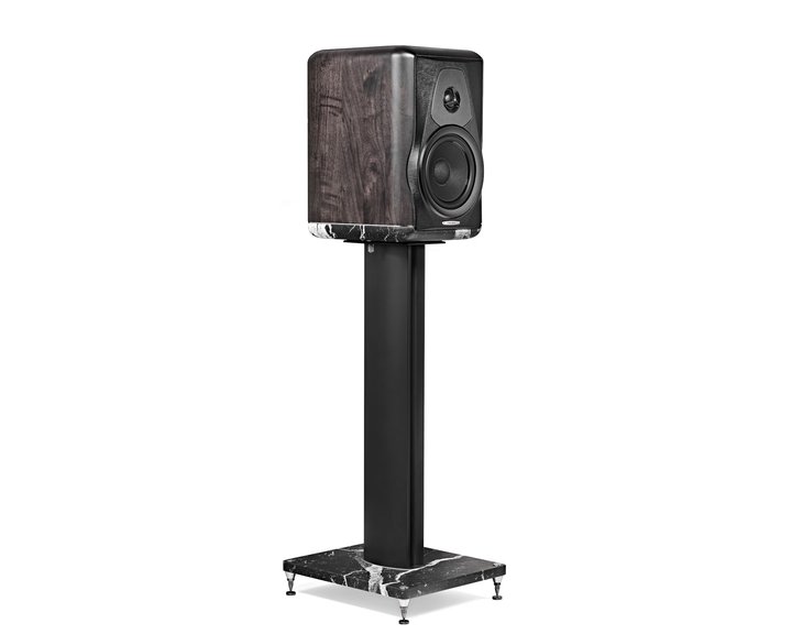 Sonus FaberA35NLOXs[J[uElecta Amator IIIvɐVdグuGraphitev