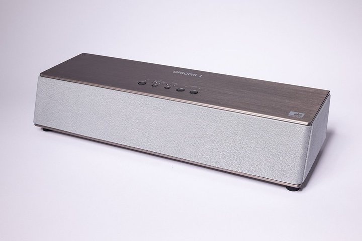 2024NȕvAOPSODIS̉vWFNg`[Ɍ