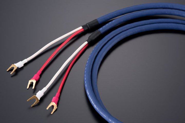 eBOAghuAzure DragonvV[Y RCA^XLR^Xs[J[P[uǉ