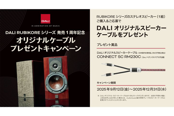 DALIAuRUBIKOREv wœ{Xs[J[P[u炦Ly[