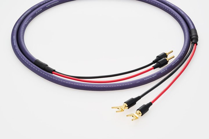 I[fBIeNjJAuFLUATV[YvXs[J[P[ũX^_[hfuAT-SC500v