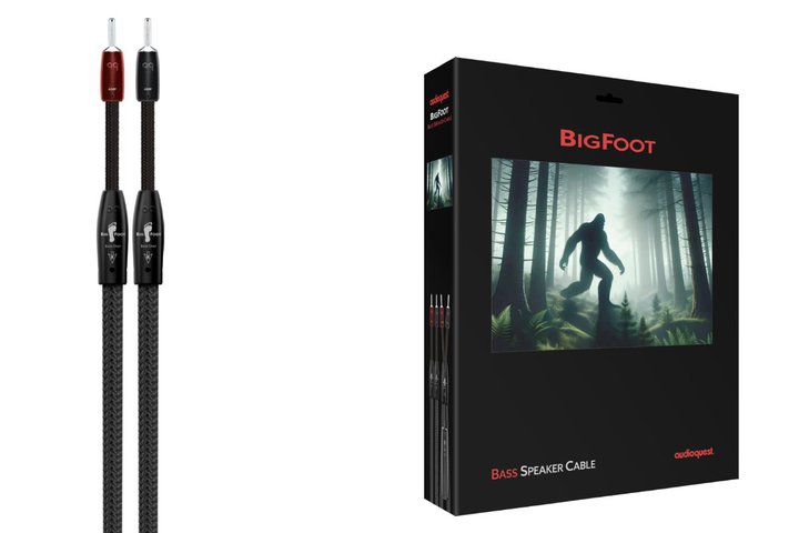 audioquest�A���p�X�s�[�J�[�P�[�u���uBig Foot�v�BLone Ranger�ƃy�A�Ŏg�p