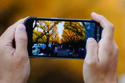 X}zŎBe悪`B̌TNbƉ