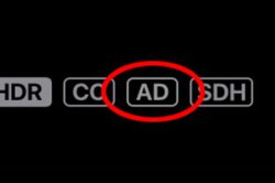 ネット動画でみかける「AD」、どんな意味？