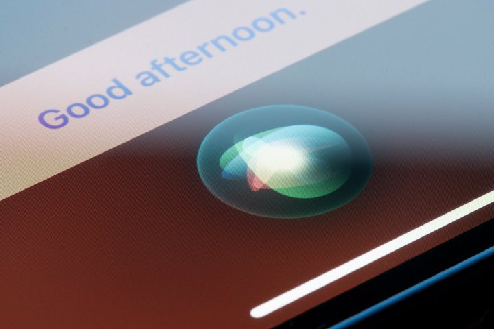 uSiri͌Ȃv͌HȖ₢ŕ֗ɎgȂ܂