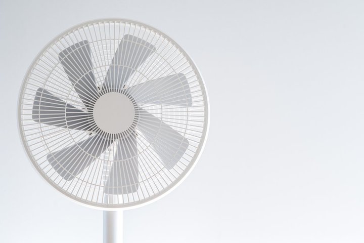 ȃGlȐ@IԂȂuDC[^[vBAC^CvƉႤH