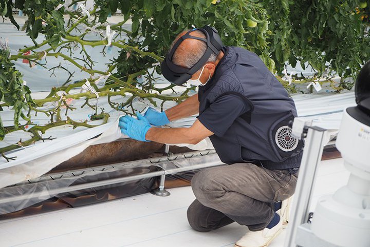 5G̖{̓rWlXpBgъeЂ͂Ayi܂ȂRƂ