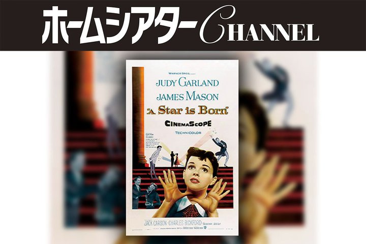 �Z���W���A�ځu�z�[���V�A�^�[Q&A�v�𐏎��X�V���I PART.22�u�z�[���V�A�^�[���o�Ă��閼��́H�v