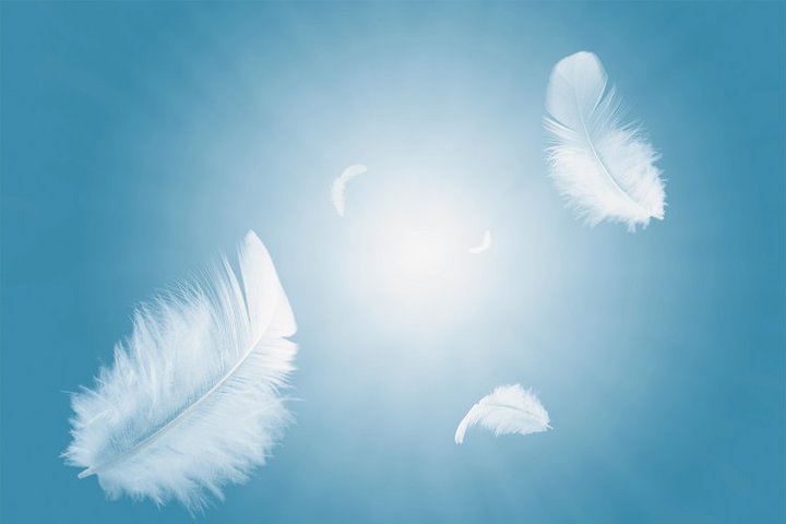 �t�B�b�g���̗ǂ��C���z���́H�������y���g�X�e�B�b�N�^�h���������߁I�y���S���C�����X���W�z