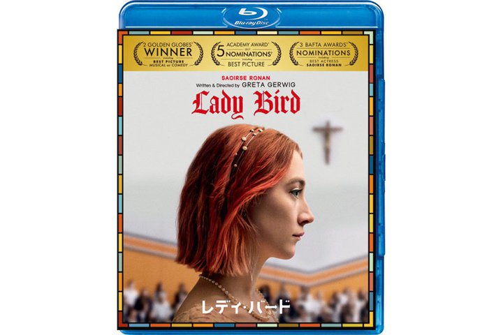 �w�o�[�r�[�x�̊ē��`�������`�I����B���Z�����Ō��1�N���߂��������̒ɁX�������P�������t�f��