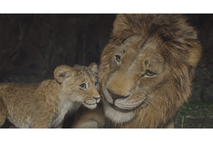 tCGŕ`wCIELOx̑O杁B 4KfŃToiQ