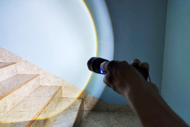 ���̊Ԃɂ������d���̖��邳�����\�{�ɁI ���́u3�̗��R�v�Ƃ́H