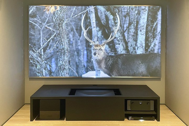 8���120�^�������I�p�l���X�N���[�������Z�œ_�v���W�F�N�^�[�ő��ʂƗ��̉����̗Տꊴ��ǋ�