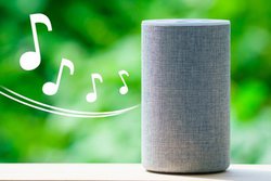 X}[gXs[J[́uA^Cv͖{ɃA^CȂ́H