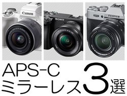 荠Ŏ͏\ȃJsbNAbvI Ă̒APS-C~[X3I