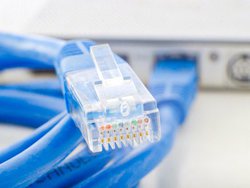 LANP[uCAT5Ƃ6ƂĉH TNbƉI