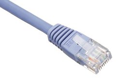 LANP[u̒܂܂܂BāAǂH