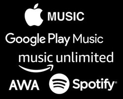 TUցAłgTuXNł͒Ȃh啨A[eBXgƂ́H