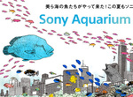 ����ɔ���C���Č�����uSony Aquarium�v�A���N�̓\�j�[�V���[���[���ƗL�y���w�O�ŊJ��