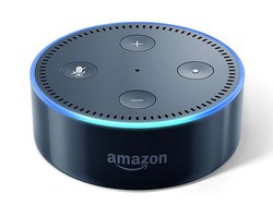 Amazon�A�X�}�[�g�X�s�[�J�[�uEcho�v�̗\����J�n�B4��3�������A�uEcho Dot�v��1,500�~�����Z�[����