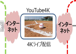 5Gg4KX|[cCup̎؎A19񏗎qd싅IŎ{