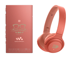 �\�j�[�A����Łu���T��R�i�� �[���̎��s�l�v�R���{�̃E�H�[�N�}��/BT�w�b�h�z��