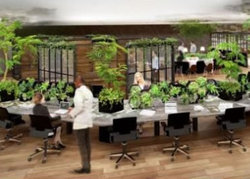 �n�C���]�~�΁~�A���}�Ő��Y�������}��I�t�B�X�Ή��T�[�r�X�uCOMORE BIZ�v