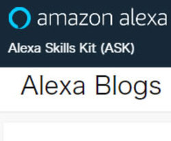 AmazonAAlexa̔\͑啝𔭕\BXL̎I╶Ȃ
