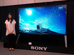 �\�j�[�A4K�t���e���r�uZ9D�v100�^���f���𐶎Y�����B������t��6��28���ŏI��