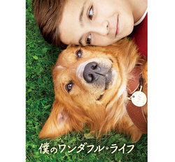 Amazon Prime VideoŁul̃_tECtv77ƐzMBuBANANA FISHvƐzM