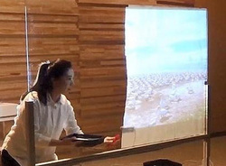 �h��ƃK���X���v���W�F�N�^�[�����X�N���[���ɂȂ����h���uS-Paint�v�A16,800�~