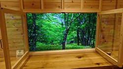 ���`�e���A8K�E4K�J��������g����12K���C�h�X�p���f���𐧍�