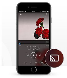 Amazon Music�A�v���ɐV�@�\�AAlexa���ڃf�o�C�X�ŉ��y�Đ��ł���uAlexa Cast�v�Ɖ̎��\���@�\