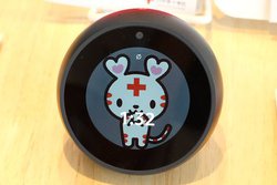 uAlexaAԏ\100~tāvBAmazonƓ{ԏ\ gŊth łXL