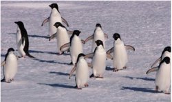 NHK�����E���A��ɂ����4K/HDR�����p��8K���[�}�����p�B�uBS4K�v�uBS8K�v�J�ǂ�12��1����