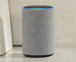 Amazon Echo�ŁuApple Music�v�̍Đ����\��