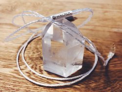 WAGNUS.�A���S�󒍐��Y�̓����疌�̗p�C���z�����P�[�u���uCrystal Lily�v