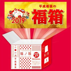 �r�b�N�J�����ABD���R�[�_�[�⊮�S���C�����X�C���z���ȂǑΏۂ́u2019�N�����v���I�̔����J�n