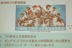 XJp[́uv싅ZbgvAIf}hł12czMڎwBF14Kpڍׂ