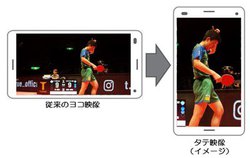 dTV�`�����l���ő싅�uT���[�O�v�̎������X�}�z�����^�e�^����Ő����p�z�M