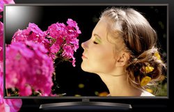 �W���p�l�b�g��LG��55�^4K/HDR�e���r��69,800�~�A�{������B65�^��99,800�~