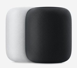 �A�b�v���A�X�}�[�g�X�s�[�J�[�uHomePod�v��299�h���ɒl����