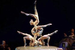 NHK�A8K�ŃV���N�E�h�D�E�\���C����X�e�B���O�̃��C�u�ȂǕ���