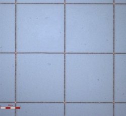 {AX}zʂɓ\uAeiptBvJB5GX}zւ̓ڂɊ