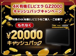 �p�i�\�j�b�N�A�V4K�L�@EL�r�G���uGZ2000�v�w���ŉ���ґS����2���~�L���b�V���o�b�N�L�����y�[��