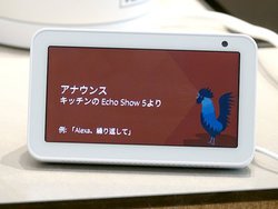 Amazon Alexa�A�����[���ֈ�Ăɉ������b�Z�[�W�𑗂��u�A�i�E���X�@�\�v