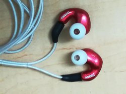 �I���L���[�A�VBA�h���C�o�[���ڃJ�X�^��IEM�����H���i���B���Ѓ��f���ւ̗̍p��