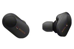 SONY�uWF-1000XM3�v��1�ʂ̍��ɋA���Ă����I �w�b�h�z���T�Ԕ���؃����L���O ���t�W���G�[�r�b�N��