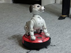 ��CEATEC�������̉Ɠd��aibo���A�g�^�x�m�ʁA���[�J��5G��VR�ŋƖ��������^AGC�A5G�����S���Z�p