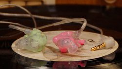 �Z���T�t�H�j�N�X�A���̃_�C�i�~�b�N�^�^���y�ӏ܌����t���V���R���J�X�^��IEM�uD2�v